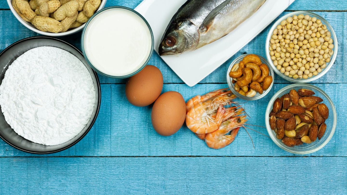 Plain English Allergen Labelling (PEAL) a guide for food service